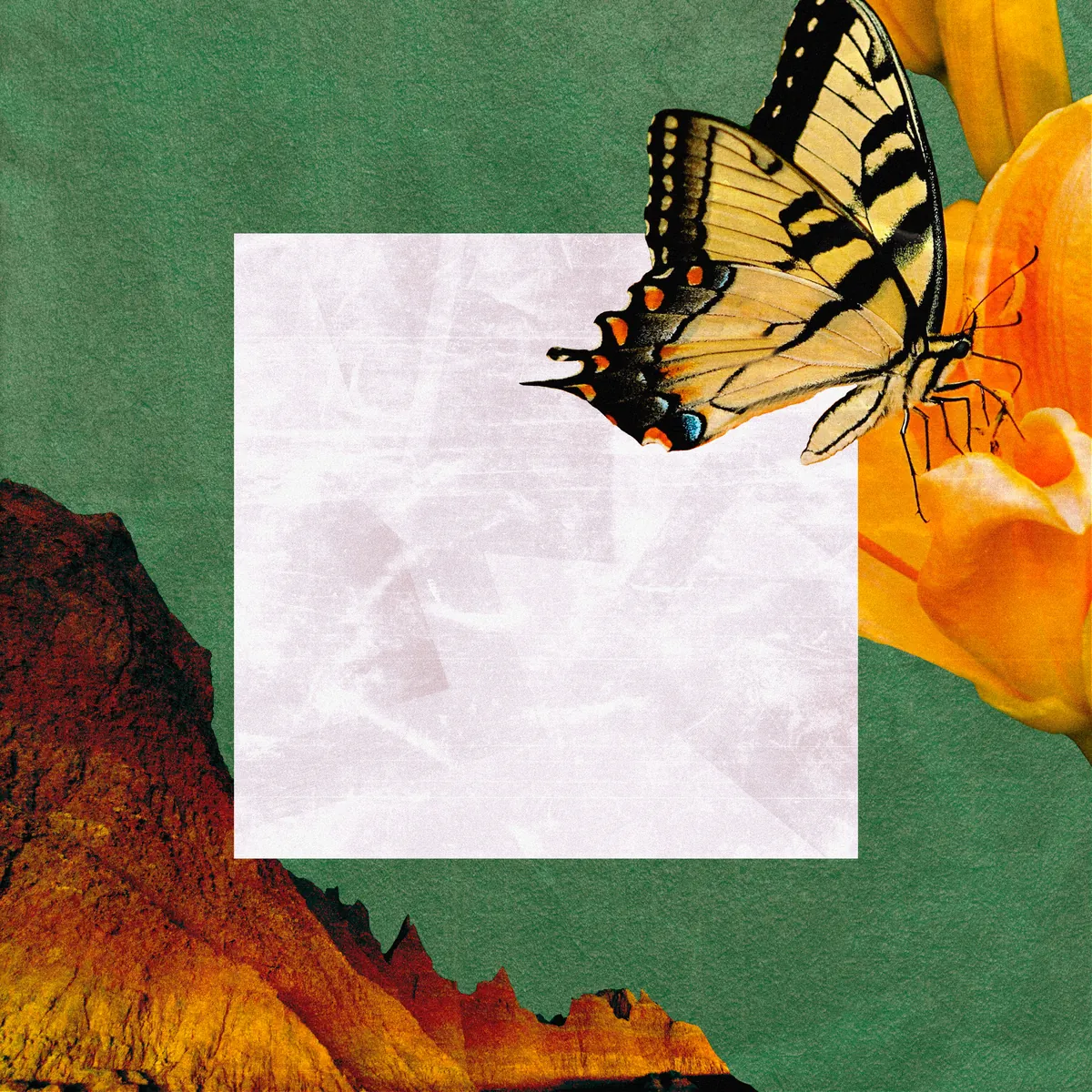 Portada de HELIX.: una mariposa sobre una flor naranja, montañas rojizas y un cuadrado claro sobre fondo verde